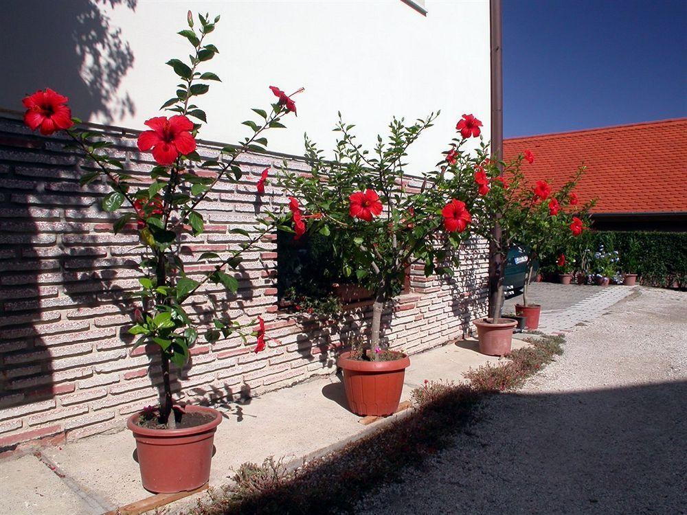 Heviz Therme Apartmenthaus Esterno foto